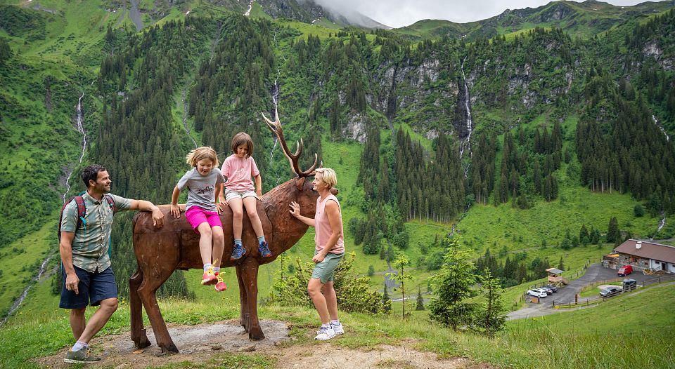 Wildlife Trail